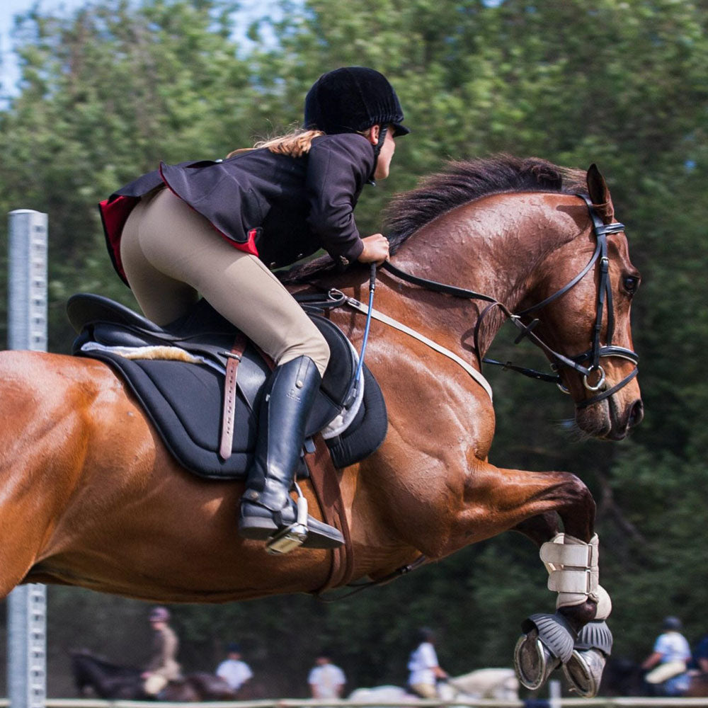 Equine HTMA