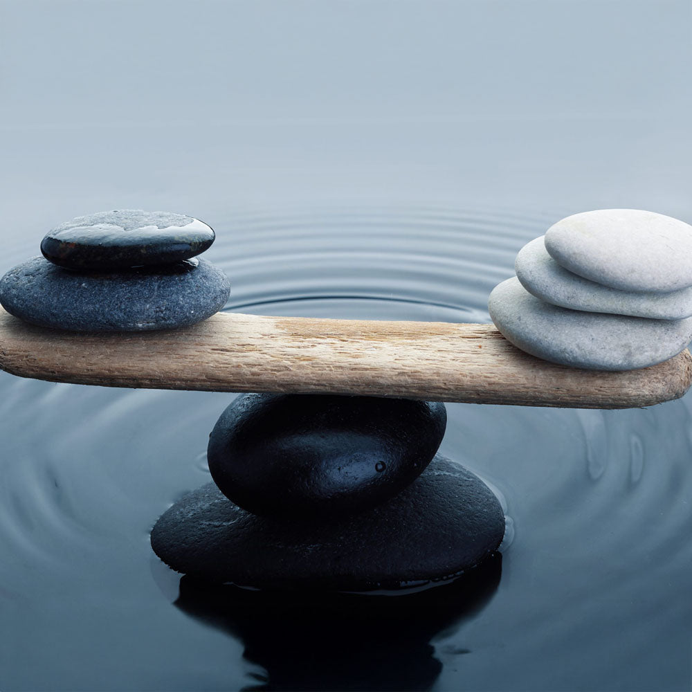 Mineral Balance in Motion