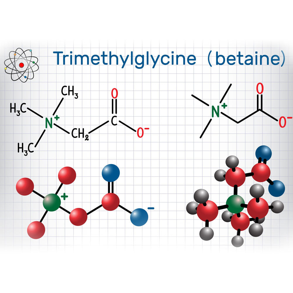 Trimethylglycine (Betaine Anhydrous)