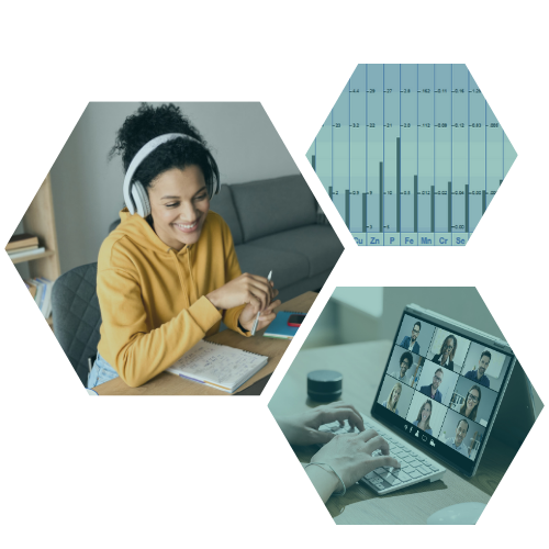 June 3, 2024 - Severe calcium shell, Magnesium loss, Overt copper, and a Canine HTMA test