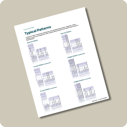 Typical Patterns