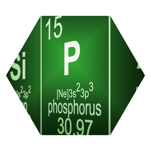 Supporting Low Phosphorus on a HTMA Test