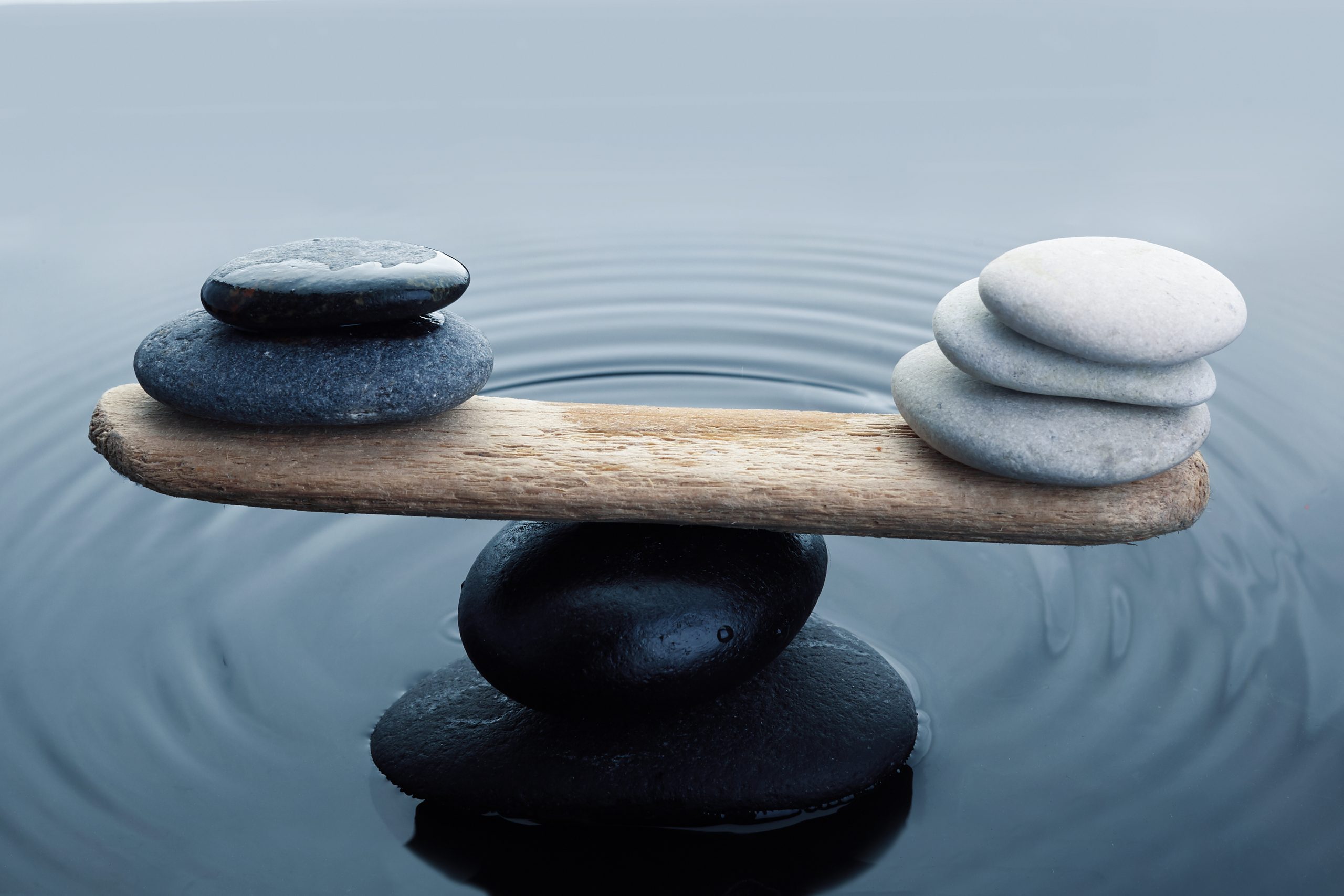 carefully balanced black and white stones in water