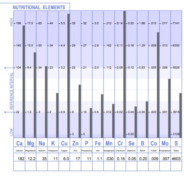 minerals; HTMA test result sample image