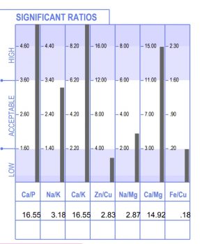 ratios; HTMA test result sample image
