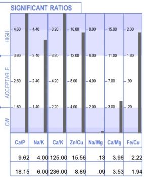 HTMA test result sample image